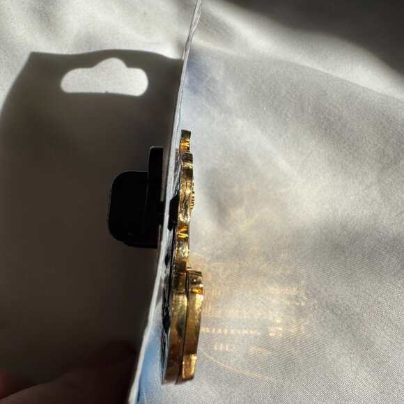 NWT Disneyland Celebrate the Mountains Big Thunder Mountain Chip & Dale Pin - Picture 10 of 12